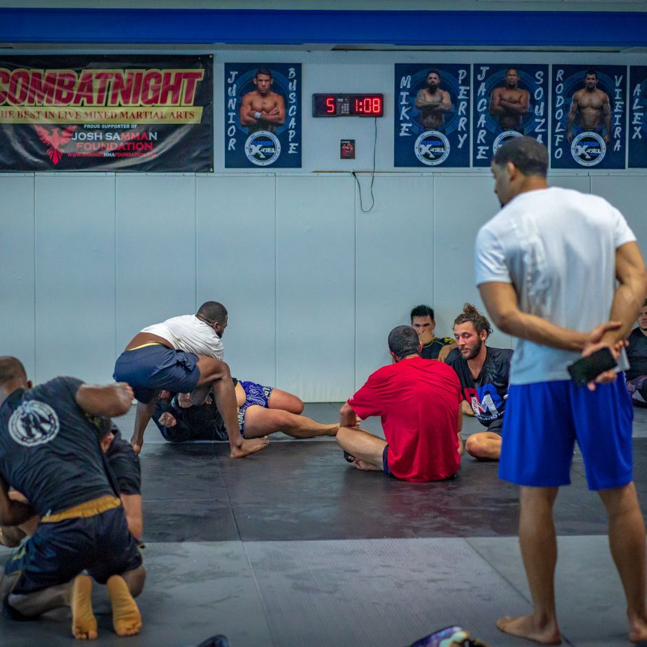 Grappler Shorts