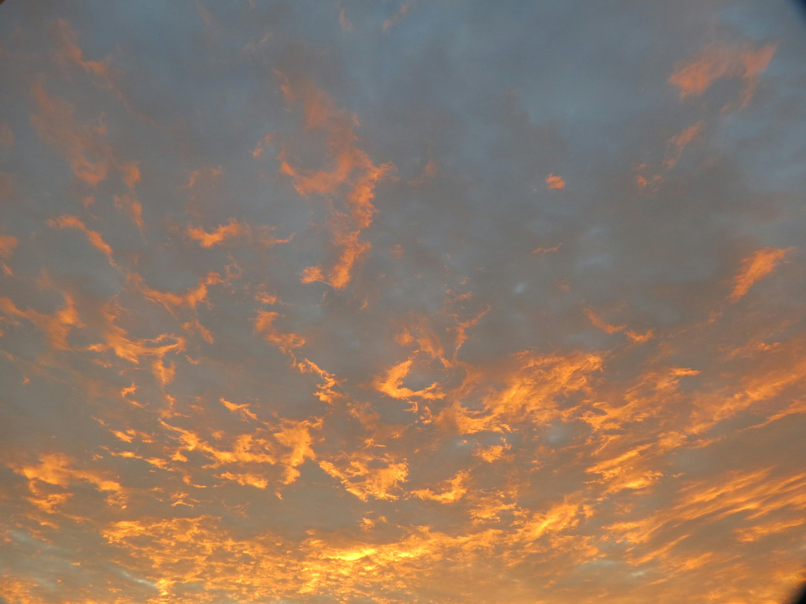 Free stock photo of clouds, orange skies, sunset