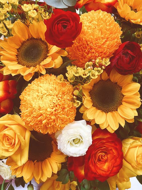 Free Close-up of a colorful bouquet featuring sunflowers, roses, and chrysanthemums. Stock Photo