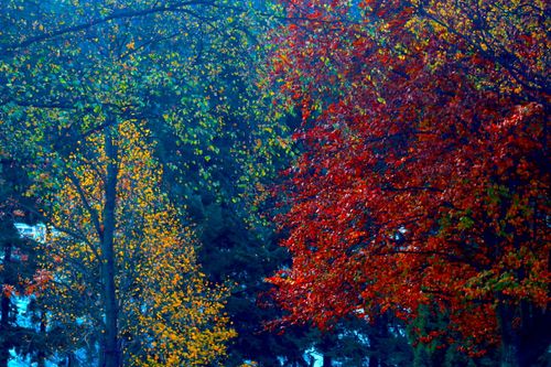 Free Colours Stock Photo