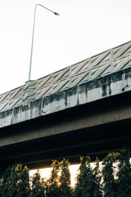 Бесплатное стоковое фото с бетонный мост, вертикальный выстрел, мост