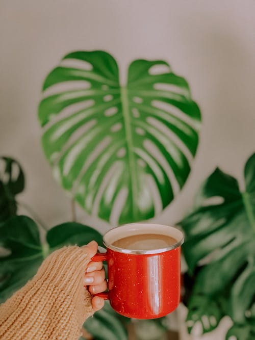 Free Coffee in a Red Mug  Stock Photo