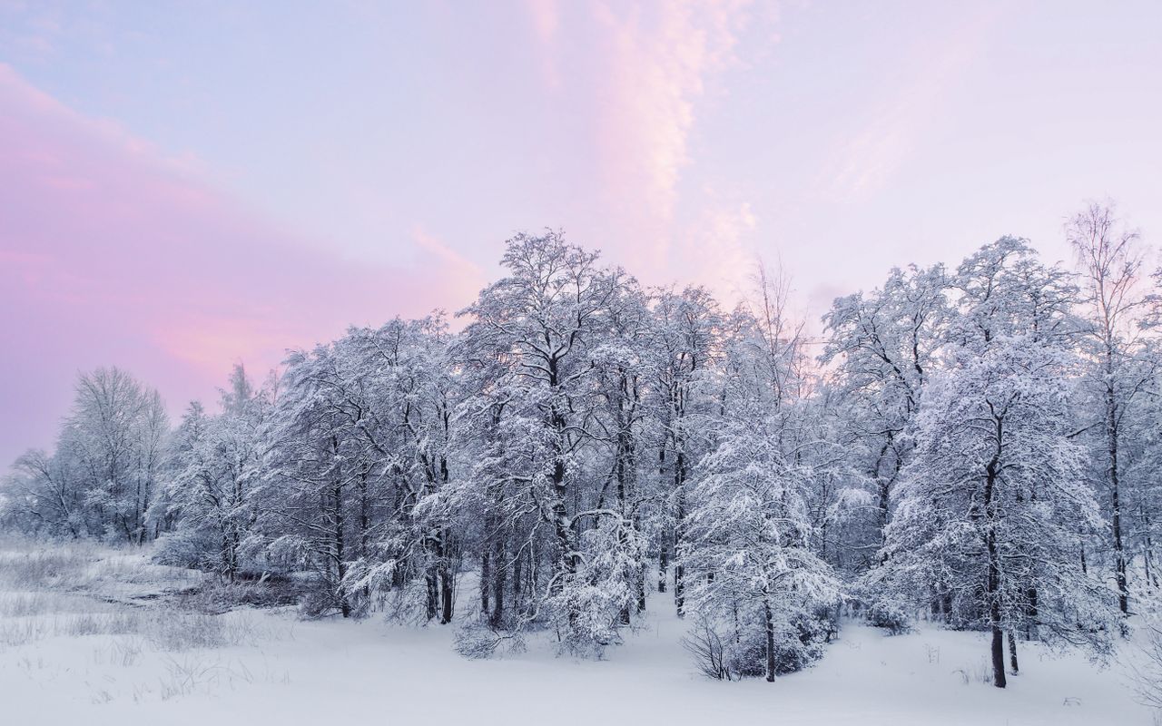 serene snow covered forest in helsinki during winter at sunrise with a
