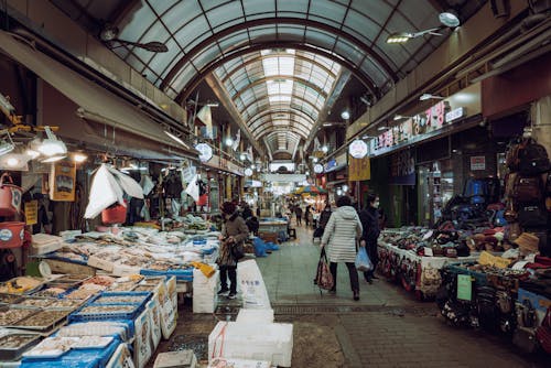 Immagine gratuita di bazar, camminando, esposto