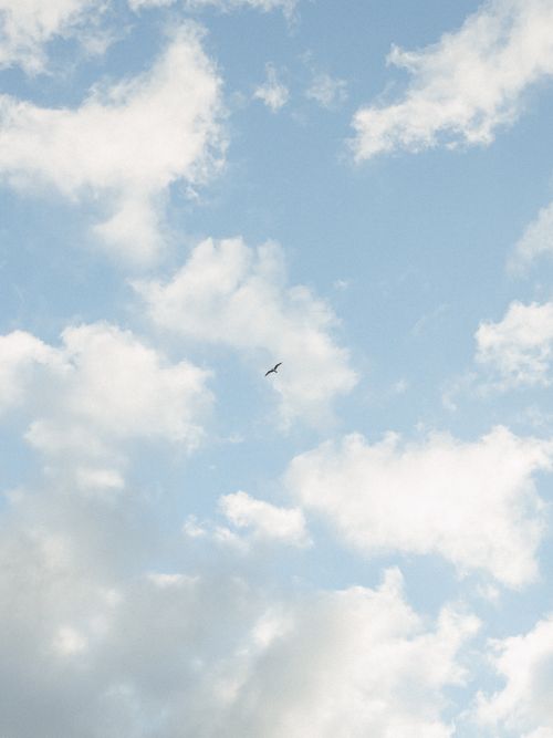 Free A tranquil blue sky with scattered clouds and a single bird flying gracefully. Stock Photo