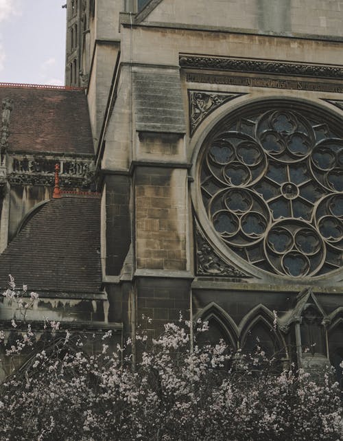 Základová fotografie zdarma na téma architektura, betonová stavba, budova