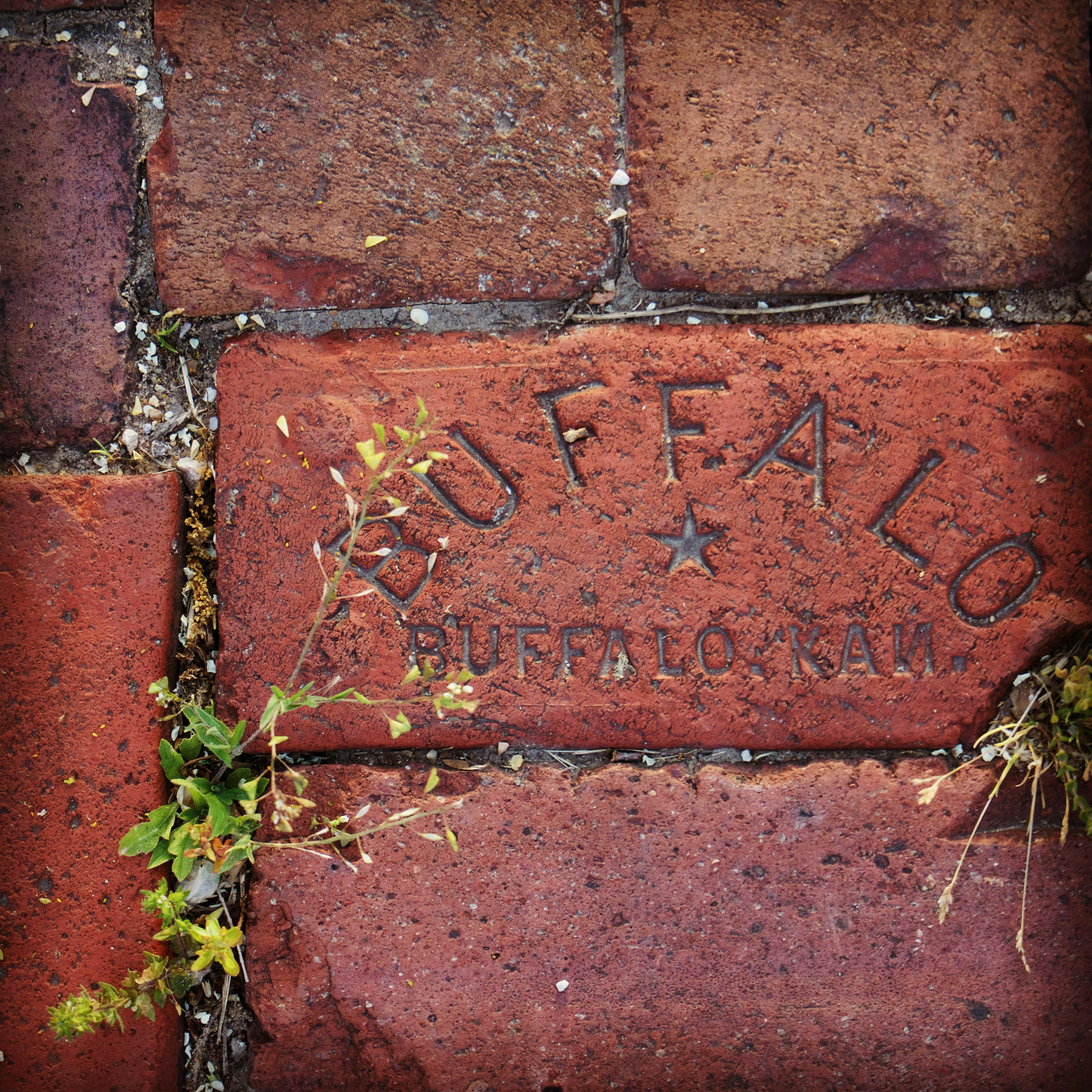 free stock photo of bricks pavers texture