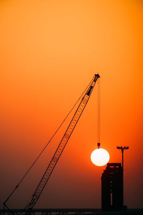 Silhouette of a Crane 