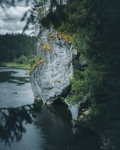강, 개울, 락의 무료 스톡 사진