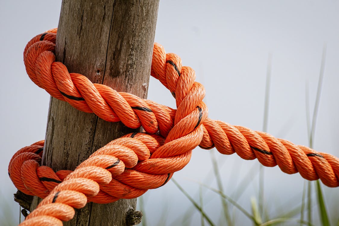 Orange Rope Wrapped Brown Wood Log