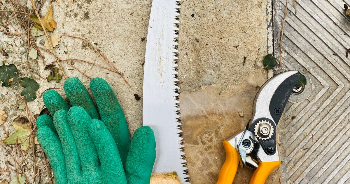 A curved pruning saw beside green gardening gloves and orange-handled secateurs on a stone path