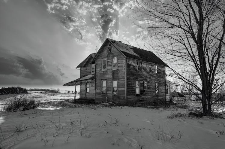 Black And White Photo Of House Near Leafless Tree