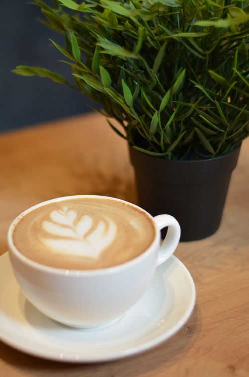 Free A stylish close-up of a latte with beautiful latte art beside a green indoor plant. Stock Photo