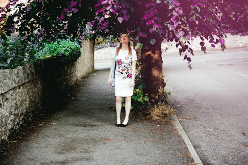 免費 一個女人站在樹下的攝影 圖庫相片