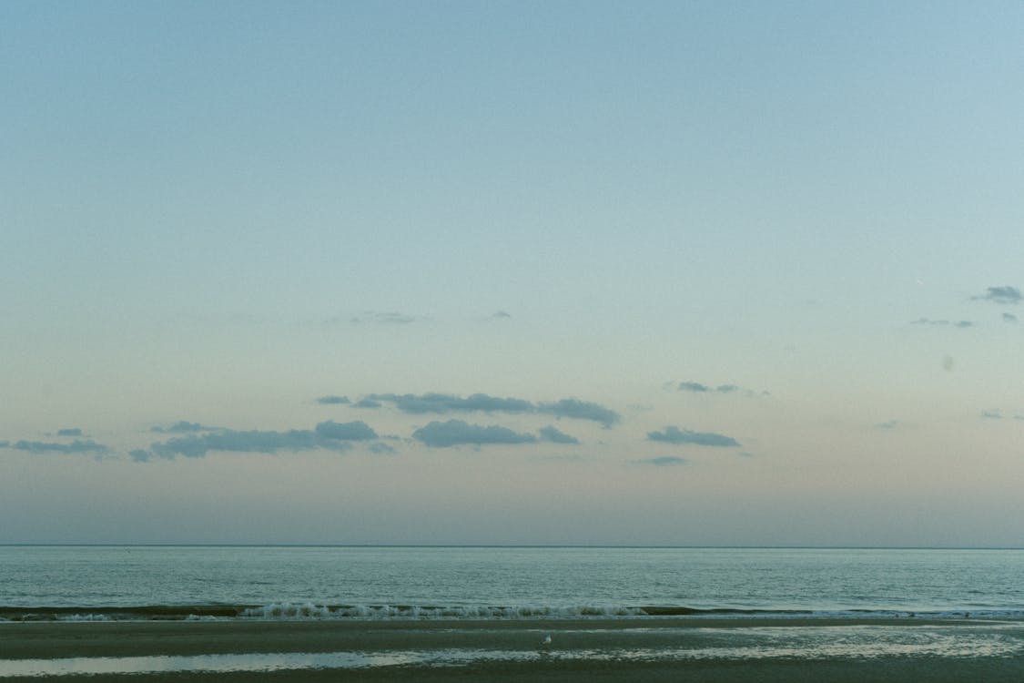 地平線, 水體, 海 的 免費圖庫相片