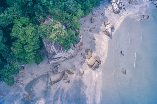A stunning aerial view of a beach meeting lush green forest, showcasing nature's beauty.