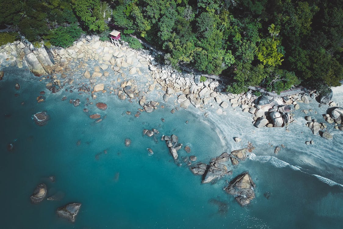 Free Bird's Eye View of Rocky Shore Stock Photo