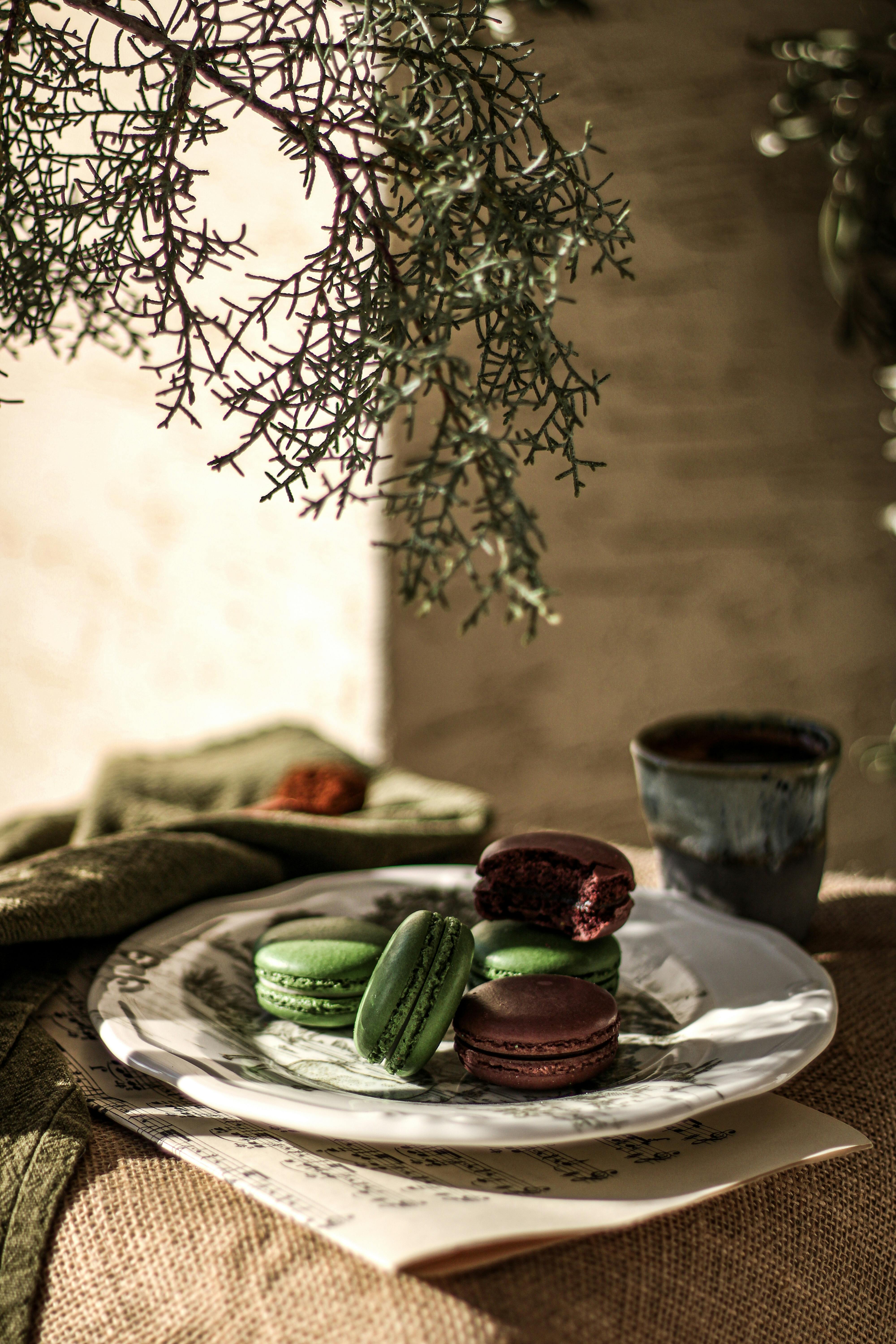 Elegant macarons on a plate, set in a rustic and serene ambiance with natural elements.