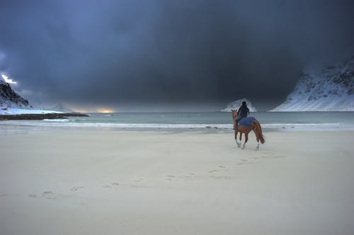 A Person Riding a Horse on Snow Covered Shore