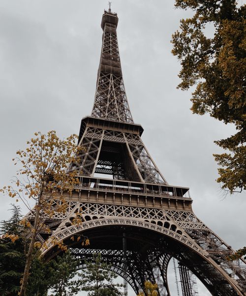 Free Low angle view of the Eiffel Tower framed by trees in Paris, France. Stock Photo