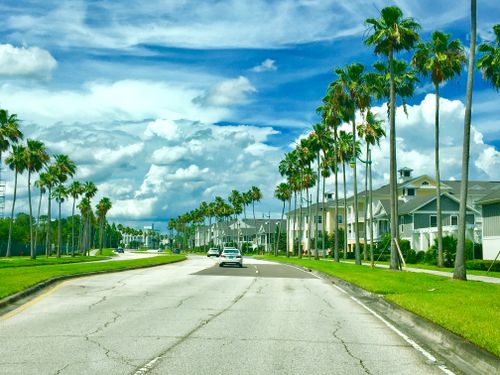 Free stock photo of cloudy day, palm trees, street in florida Stock Photo