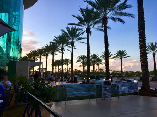 Free stock photo of mall palm trees, palm trees florida, shopping mall florida Stock Photo