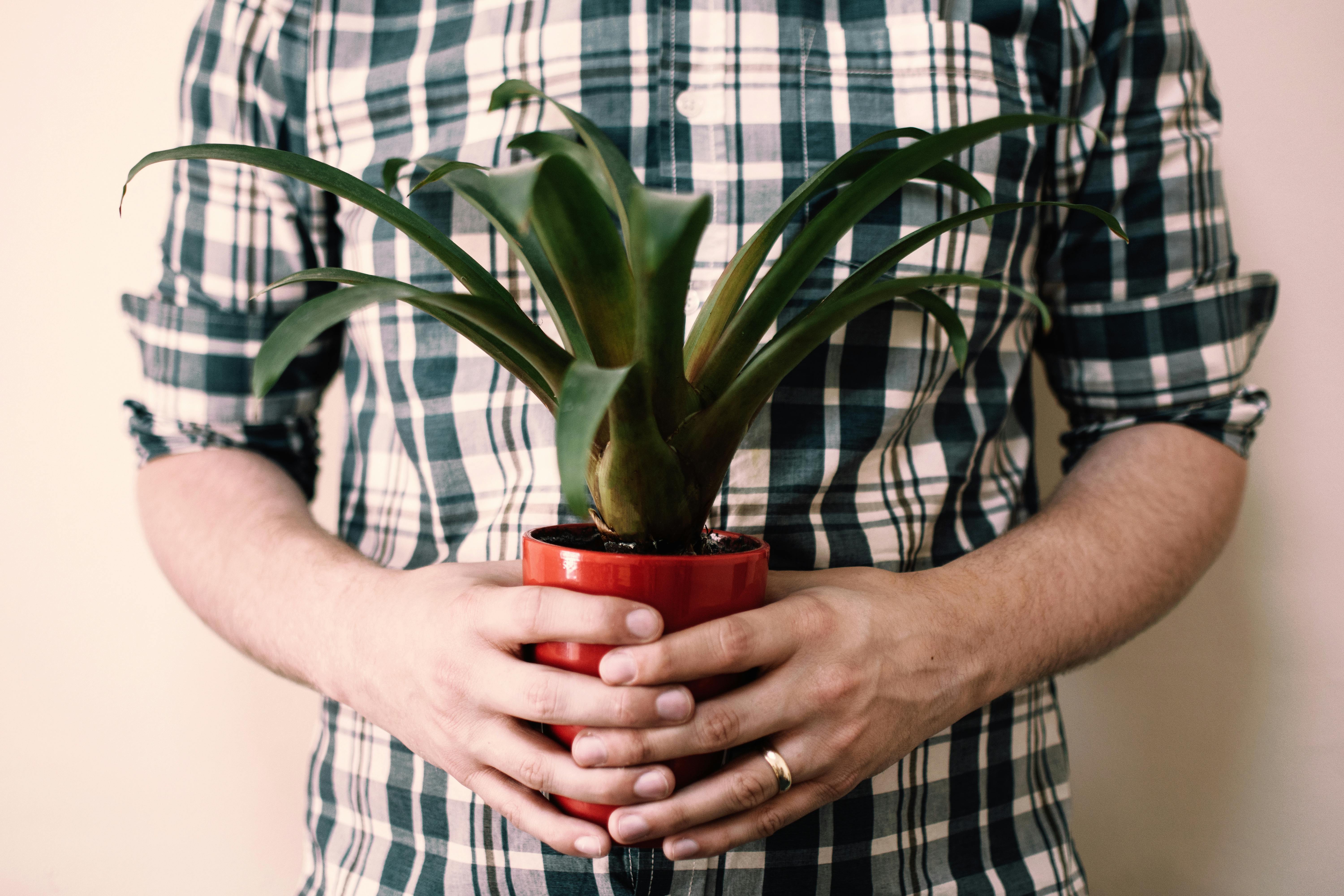 Cultivatingcontentment
