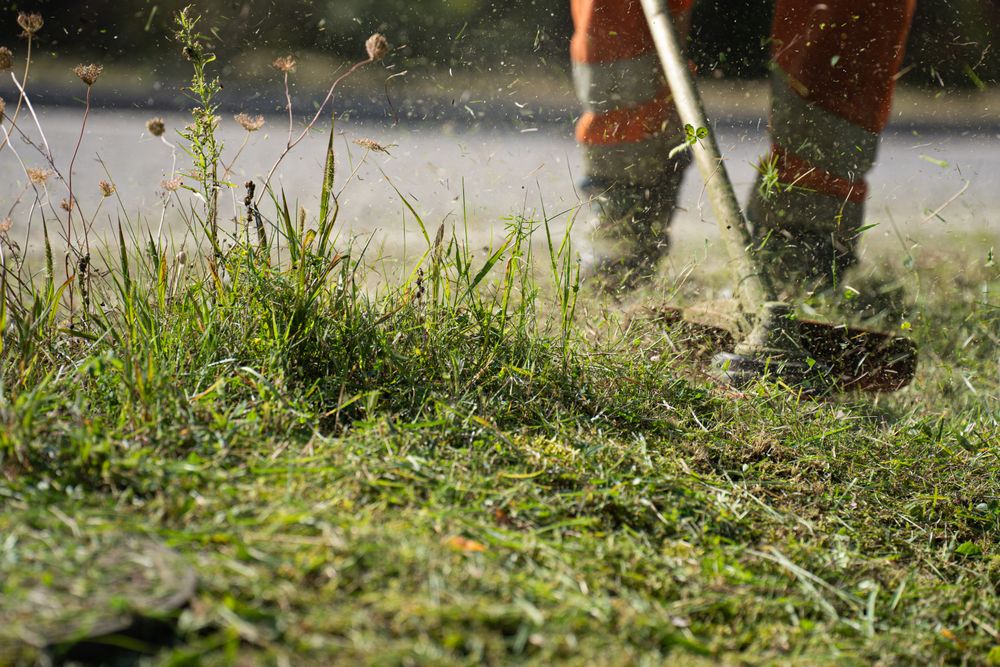 Landscaper in protective gear running a contractor-grade string trimmer, clippings flying