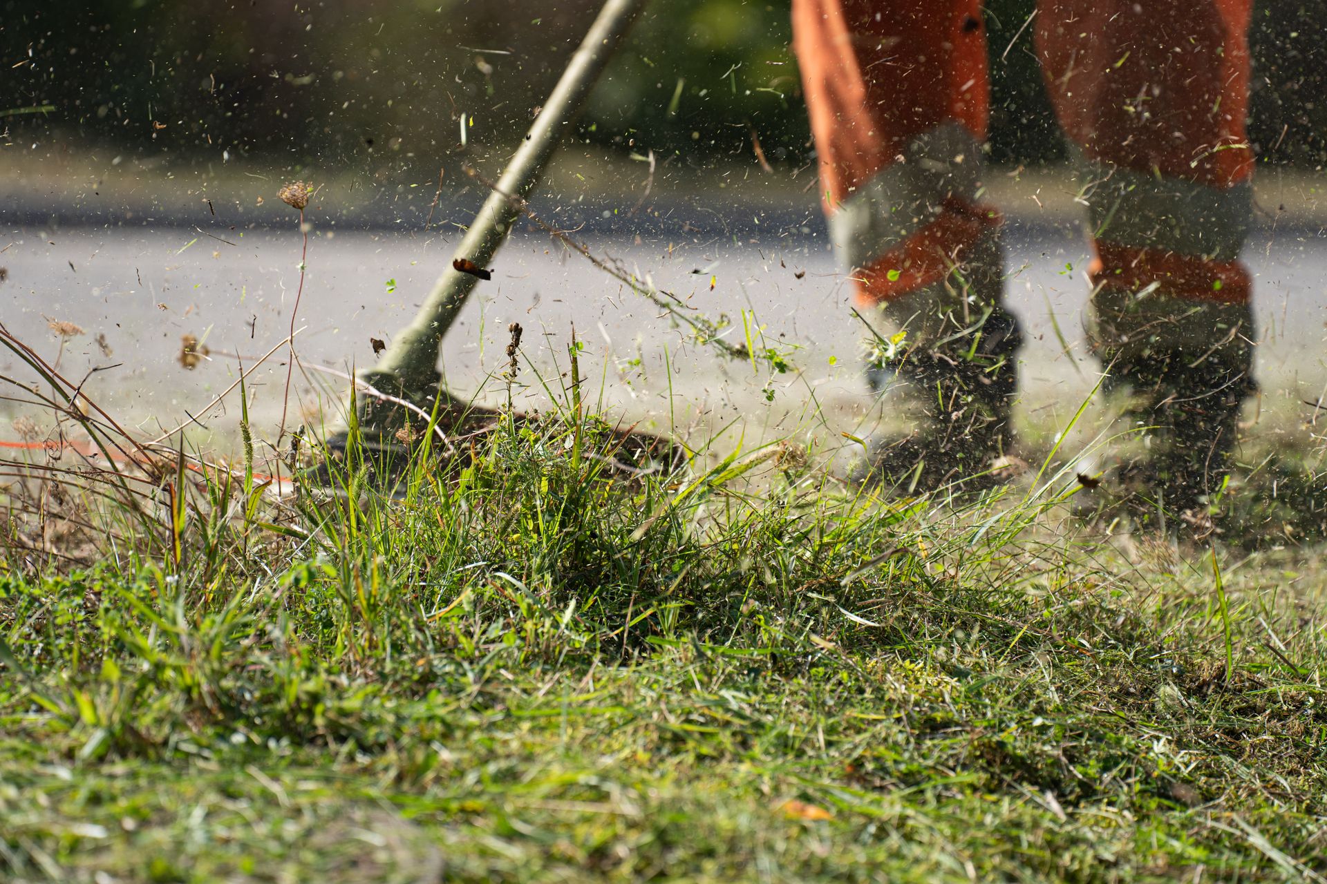 Person Cutting Green Grass