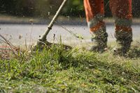 Professional lawn mowing service