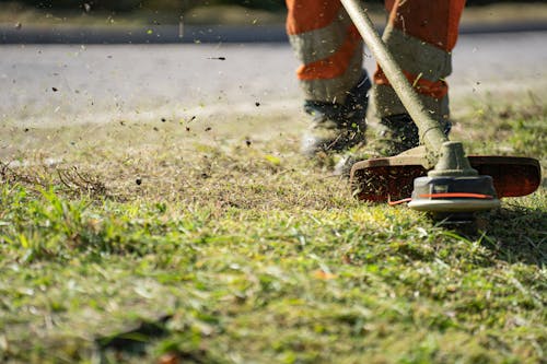 Fotos de stock gratuitas de césped, cortador de hierba, cortando