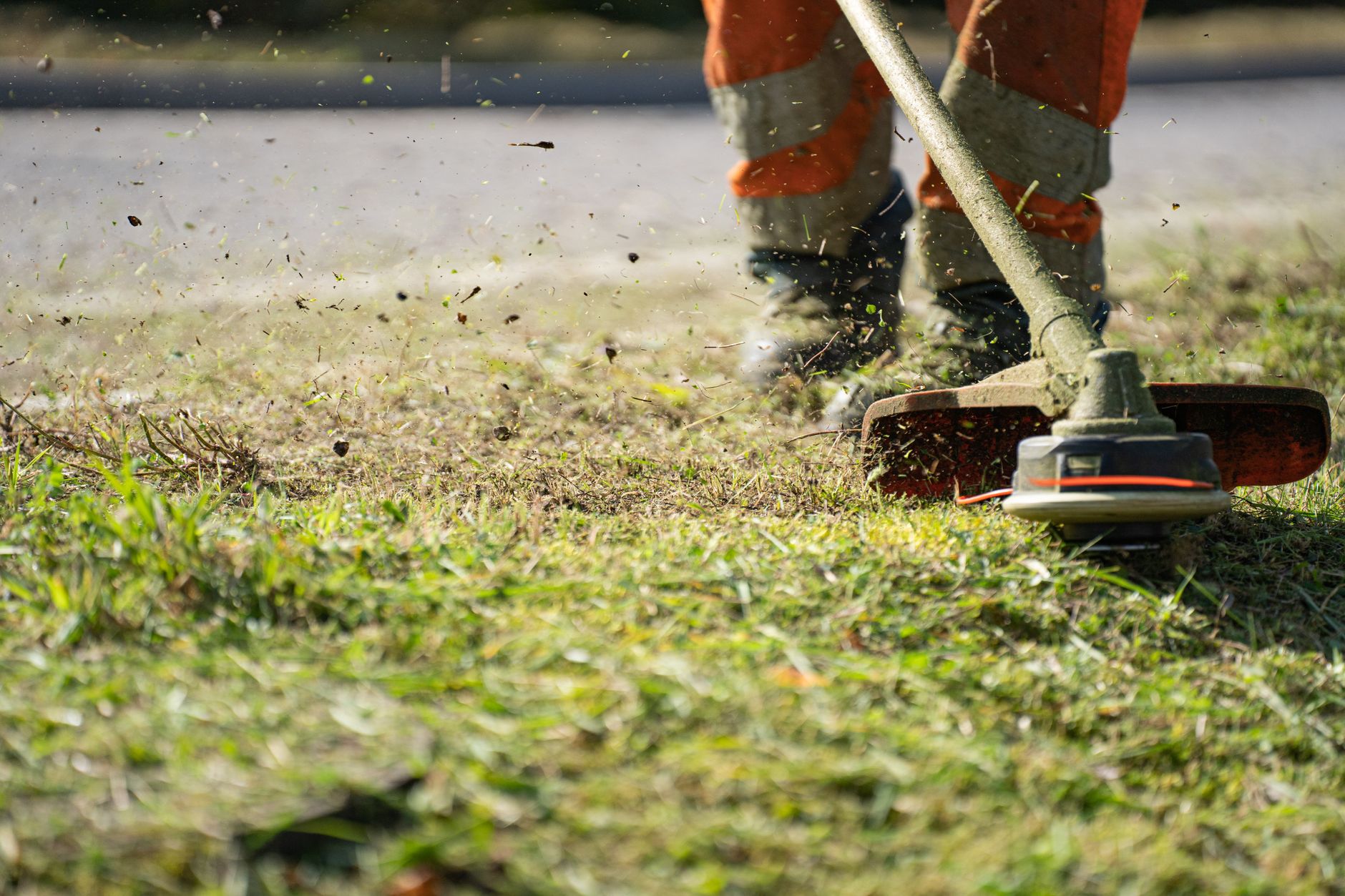 Your Lawn Looks Like a Sacramento Valley Weed Patch — Here’s How Boxpro Express Can Fix It in Yuba City