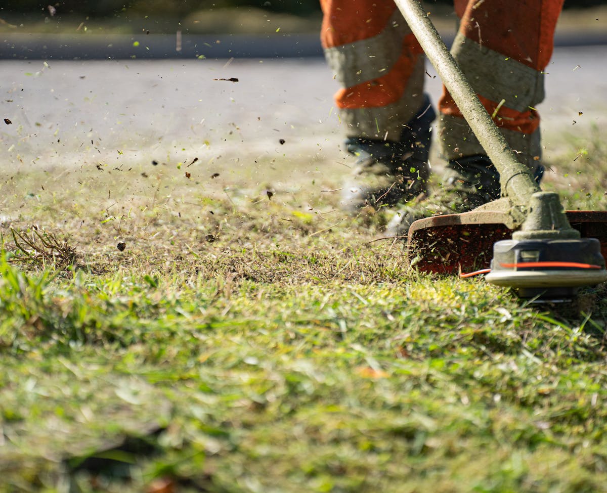 Ice water lawn service