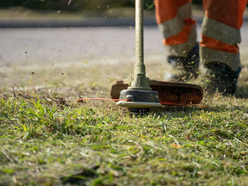 Lawn care & mowing, Mossel Bay
