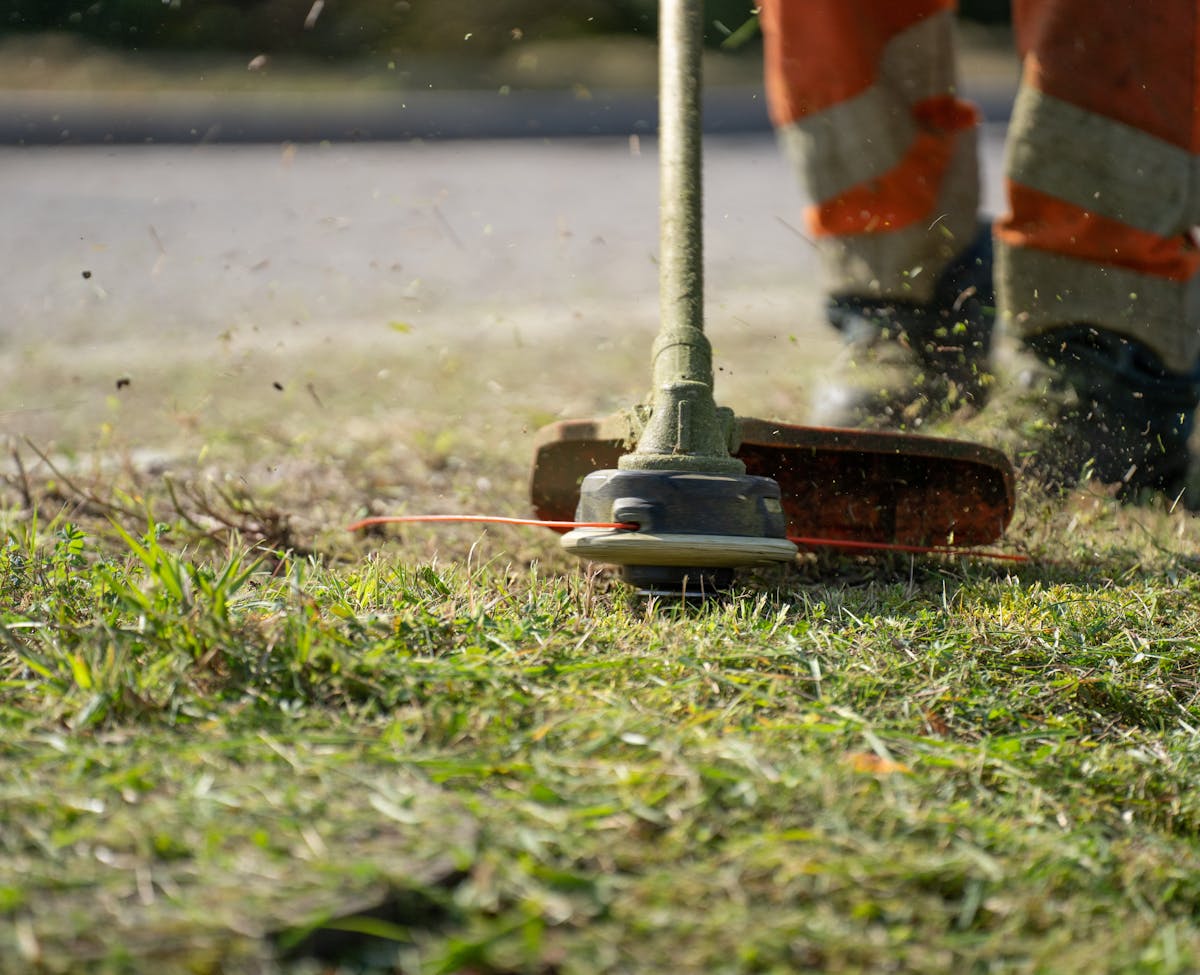 Professional Lawn Maintenance