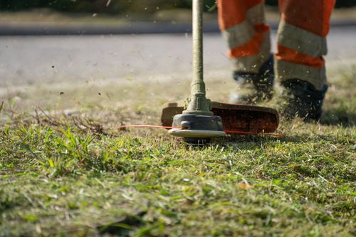 Before: overgrown grass being trimmed