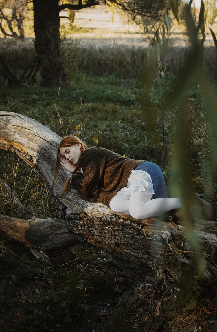 Woman Sleeping On Fallen Tree Trunk