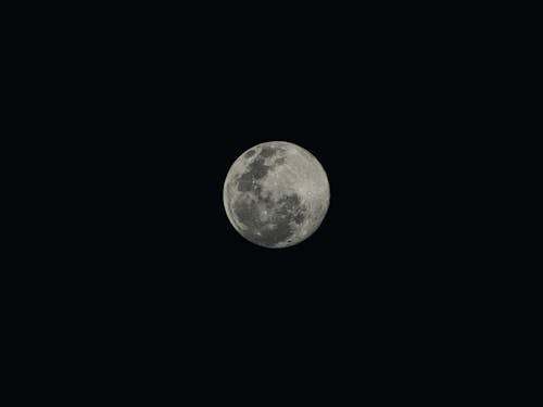 Kostnadsfria Kostnadsfri bild av astrologi, astronomi, fullmåne Stock foto