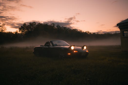 A sports car with headlights on parked in a grassy field during a foggy sunset.