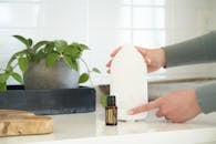Person Holding White Paper Near Green Plant