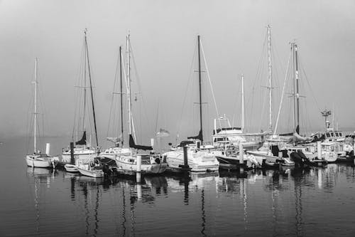 Grayscale Photo of Sailboats at a Dock