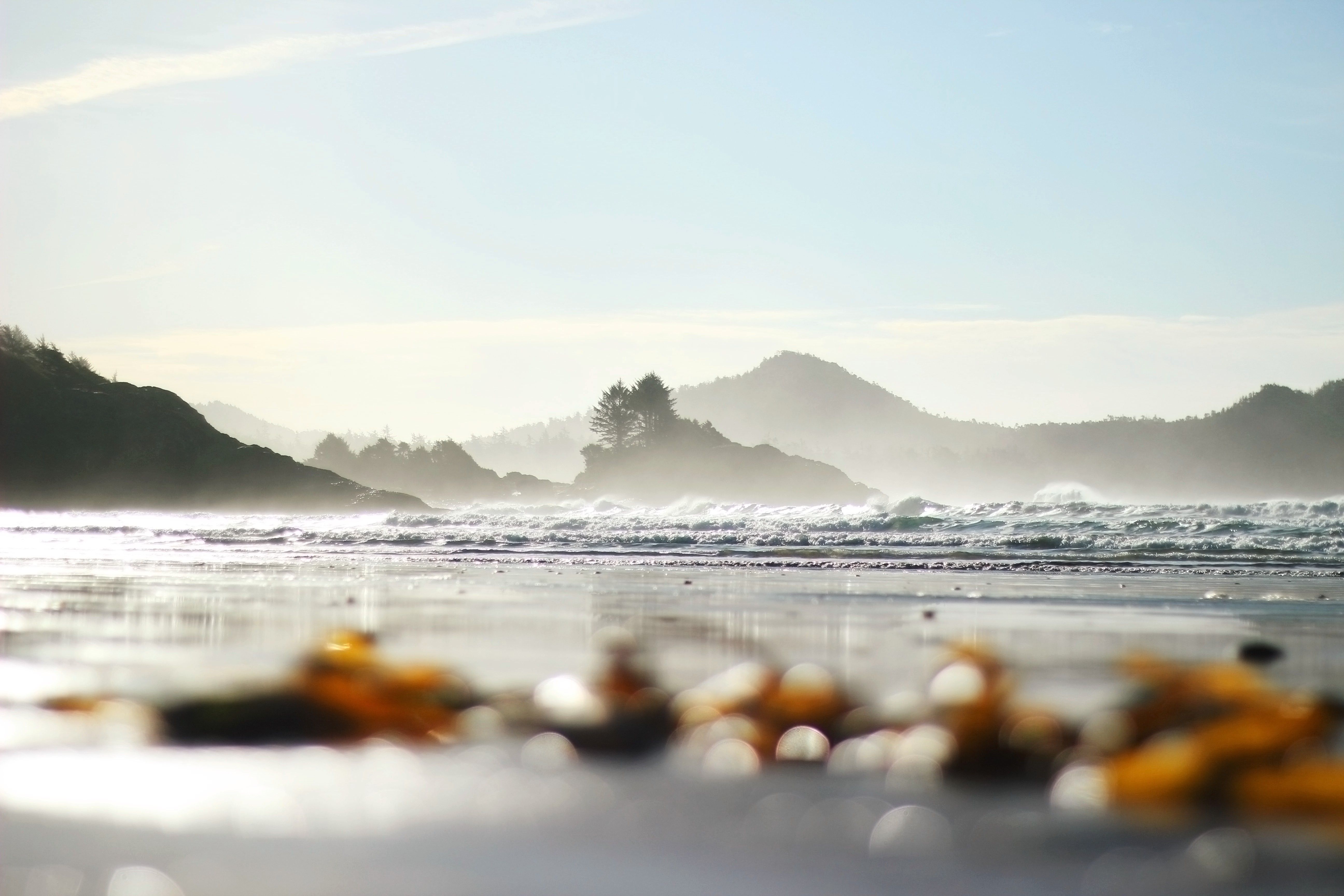 Vancouver Island community — Local Pass