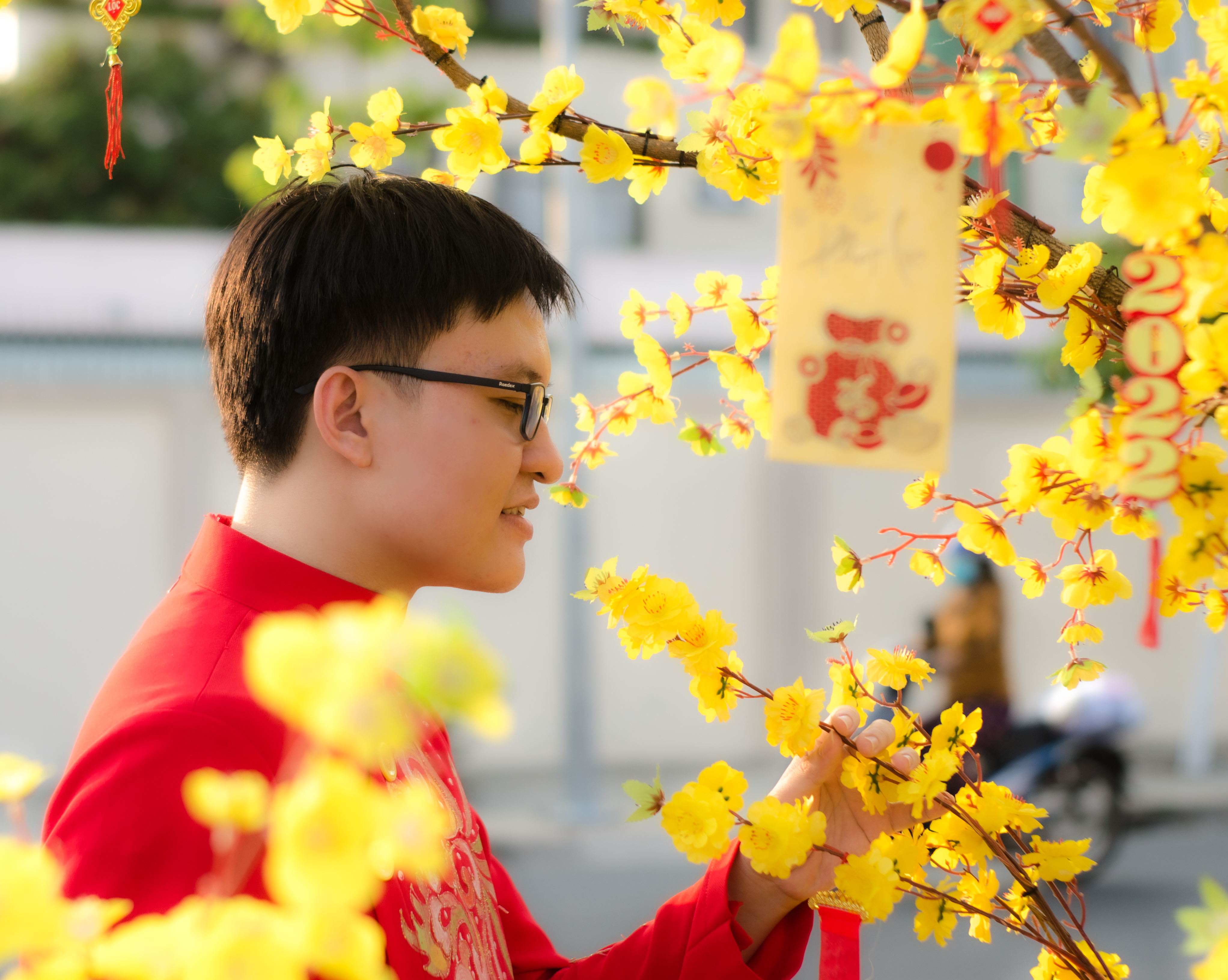 A Man Looking the Yellow Flowers · Free Stock Photo