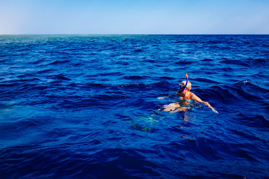 person, sea, snorkling