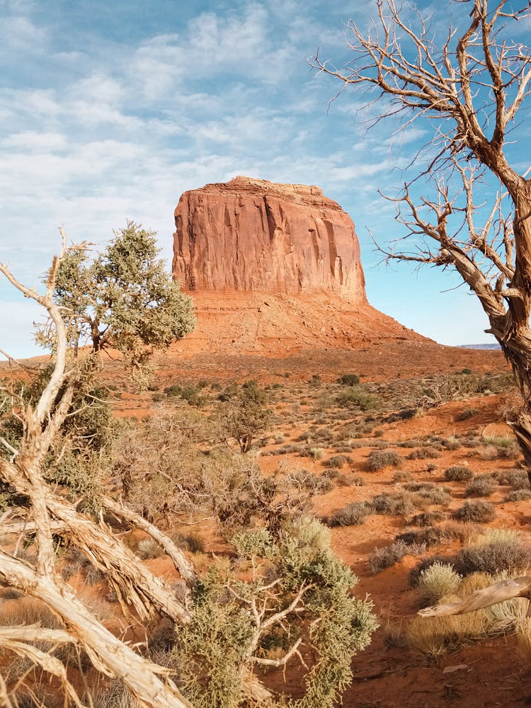 A Butte In The Desert