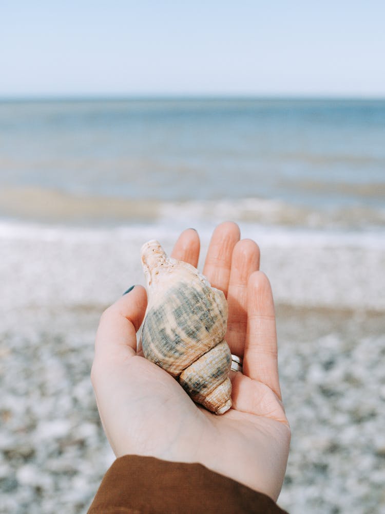 Woman Holding Seashell