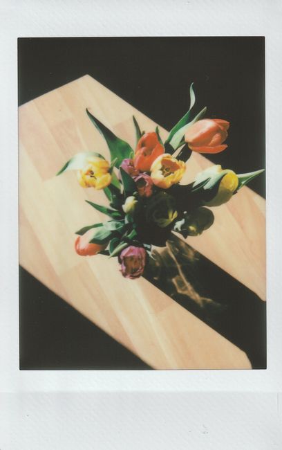 A beautiful bouquet of tulips captured in a vintage Polaroid style on a wooden table.