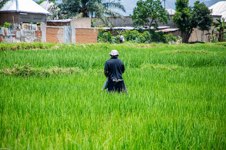 Back Of A Man Walking In A Grass Field