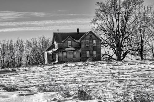Free Grayscale Photo of a House Near Leafless Tree Stock Photo