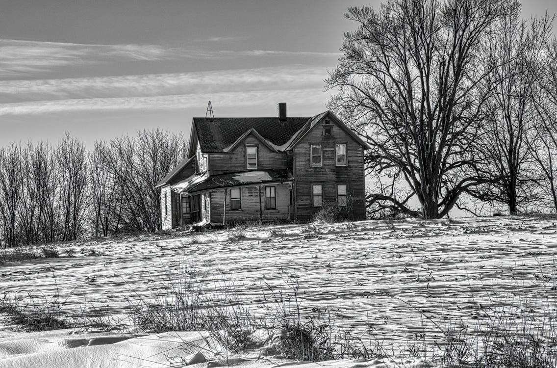 Free Grayscale Photo of a House Near Leafless Tree Stock Photo